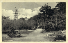 10142 Gezicht op een pad in een gemengd bos bij Driebergen-Rijsenburg, met op de achtergrond de uitkijktoren.